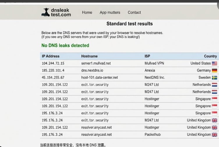 DNSLeakTest在线测试工具验证Clash Verge Rev无DNS泄露安全状态